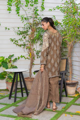 Brown tan embroidered embellishment Suit Parisa-SHK